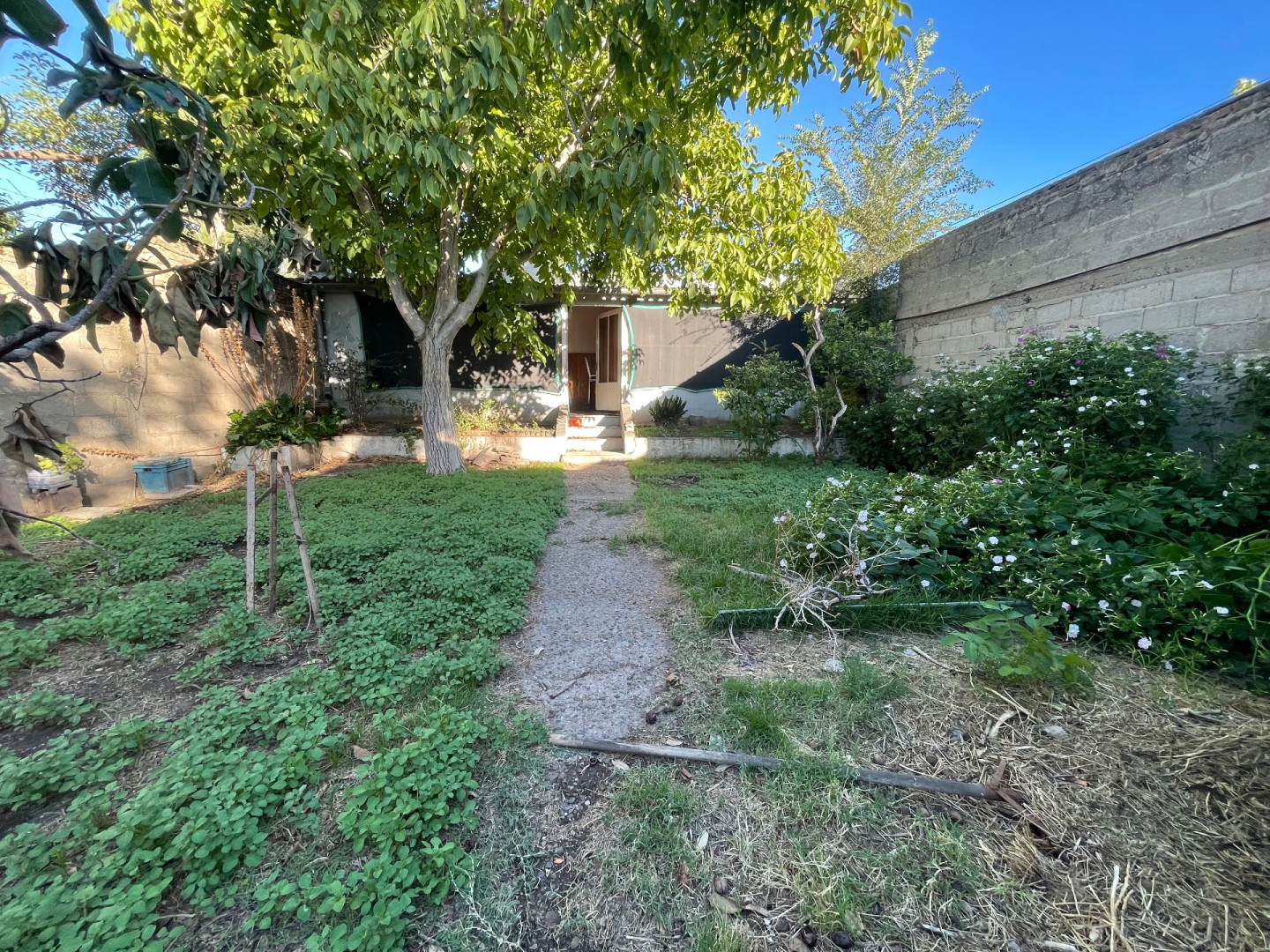 Casa con Local en Venta en Bermudez 1868/70, Sanchez Elia, Bahía Blanca - Bahía Blanca Propiedades | SITIO OFICIAL l