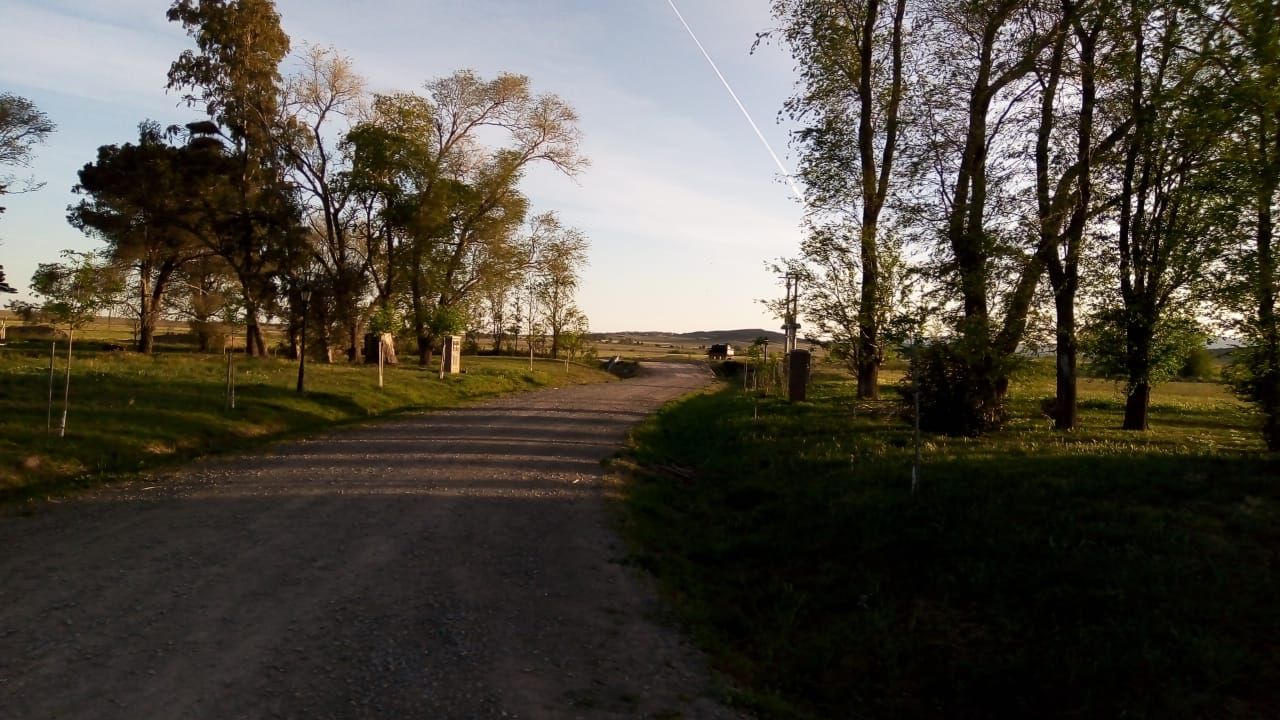 Terreno en Venta  Las Verbenas , Sierra de  la Ventana - Bahía Blanca Propiedades | SITIO OFICIAL l