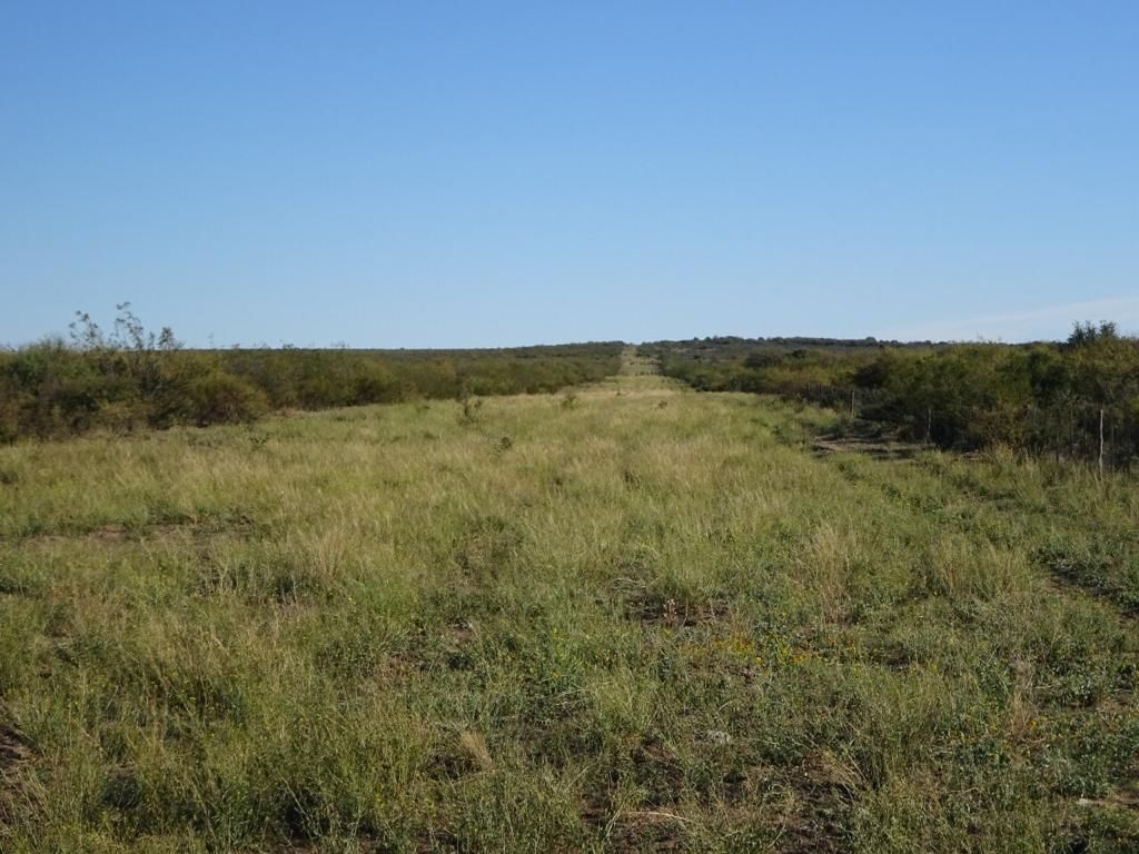 Campo  en Venta   Medanos - Bahía Blanca Propiedades | SITIO OFICIAL l