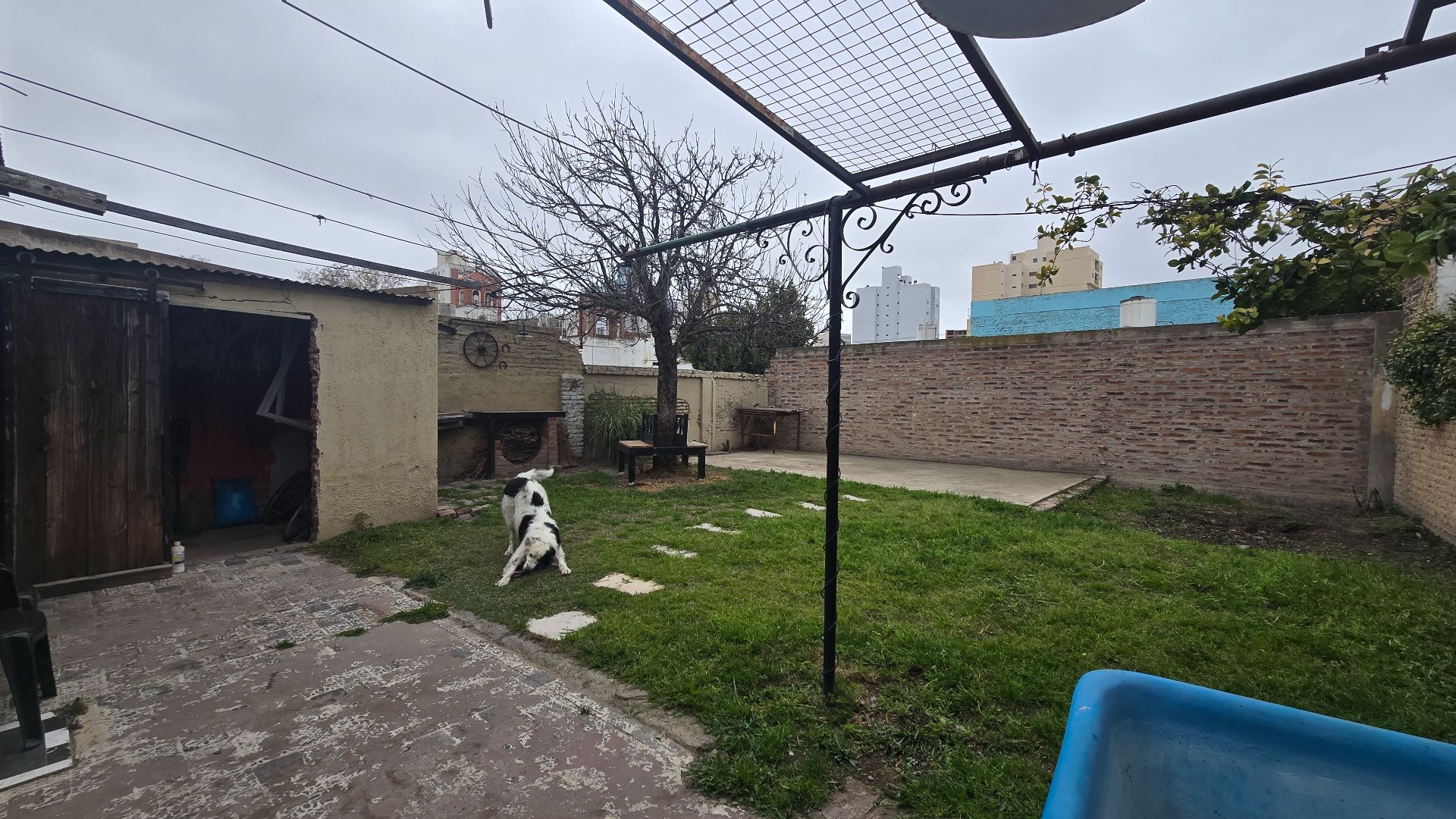 Casa en Venta en Belgrano 700, Centro, Bahía Blanca - Bahía Blanca Propiedades | SITIO OFICIAL l