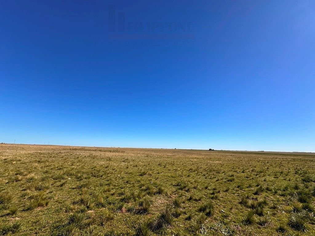 Campo  en Venta en Ruta 35 - Bahía Blanca Propiedades | SITIO OFICIAL l