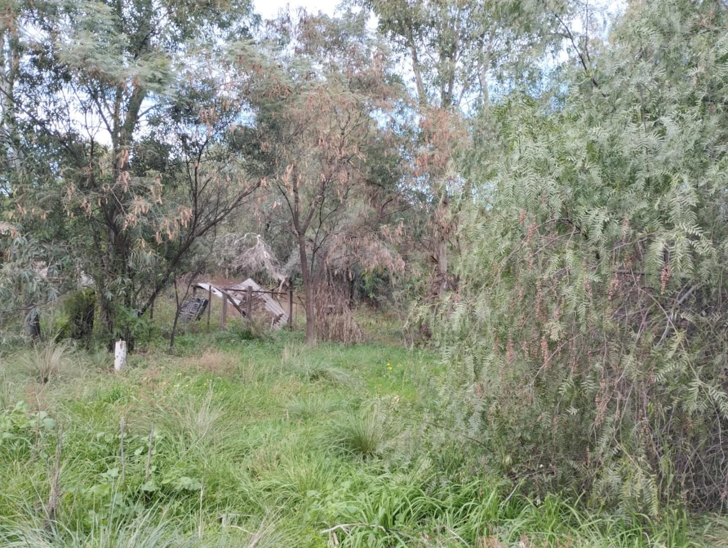 Terreno en Venta en Gualeguay Y Baigorria, San Miguel, Bahía Blanca - Bahía Blanca Propiedades | SITIO OFICIAL l