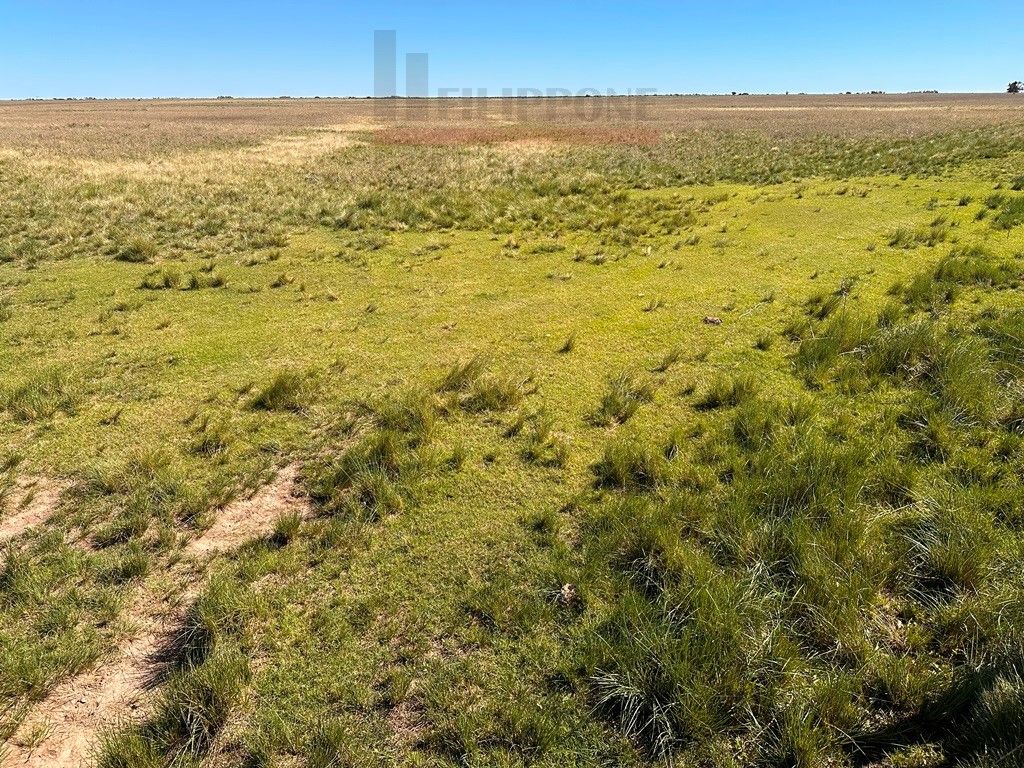 Campo  en Venta en Ruta 35 - Bahía Blanca Propiedades | SITIO OFICIAL l