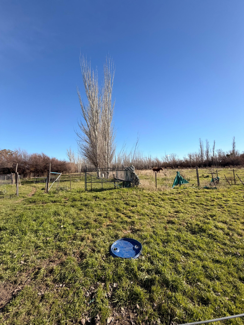 Casaquinta en Venta en Guemes 1481 ,  General Cerri - Bahía Blanca Propiedades | SITIO OFICIAL l