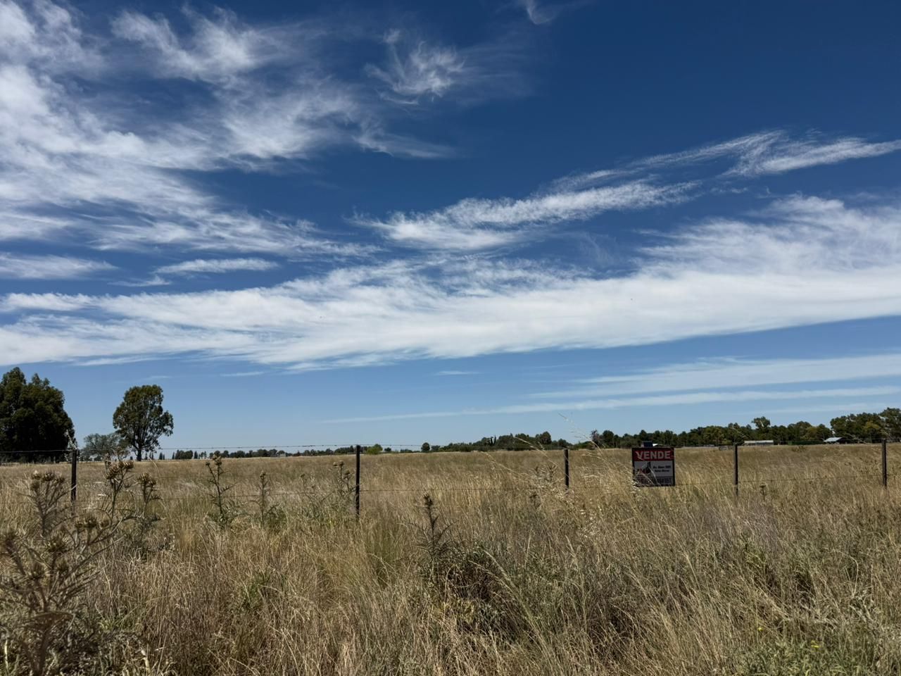 Terreno en Venta en Saavedra Y 15 De Julio,  Cabildo - Bahía Blanca Propiedades | SITIO OFICIAL l