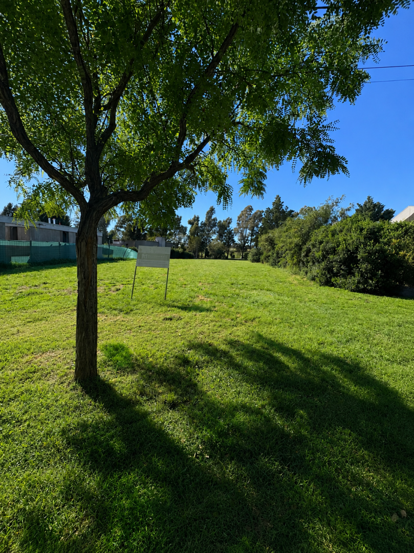 Terreno en Venta en Ruta 229 Km 17, Pago Chico, Punta Alta - Bahía Blanca Propiedades | SITIO OFICIAL l