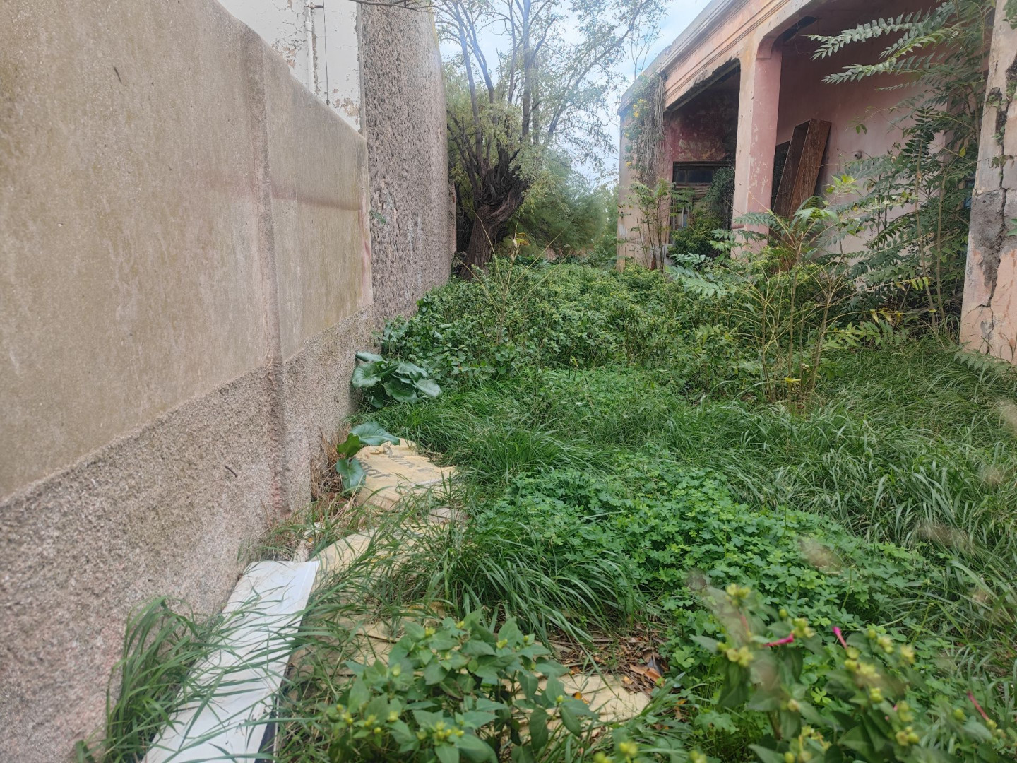 Terreno en Venta en Calle 1810  N° 1864, Villa Rosas, Bahía Blanca - Bahía Blanca Propiedades | SITIO OFICIAL l