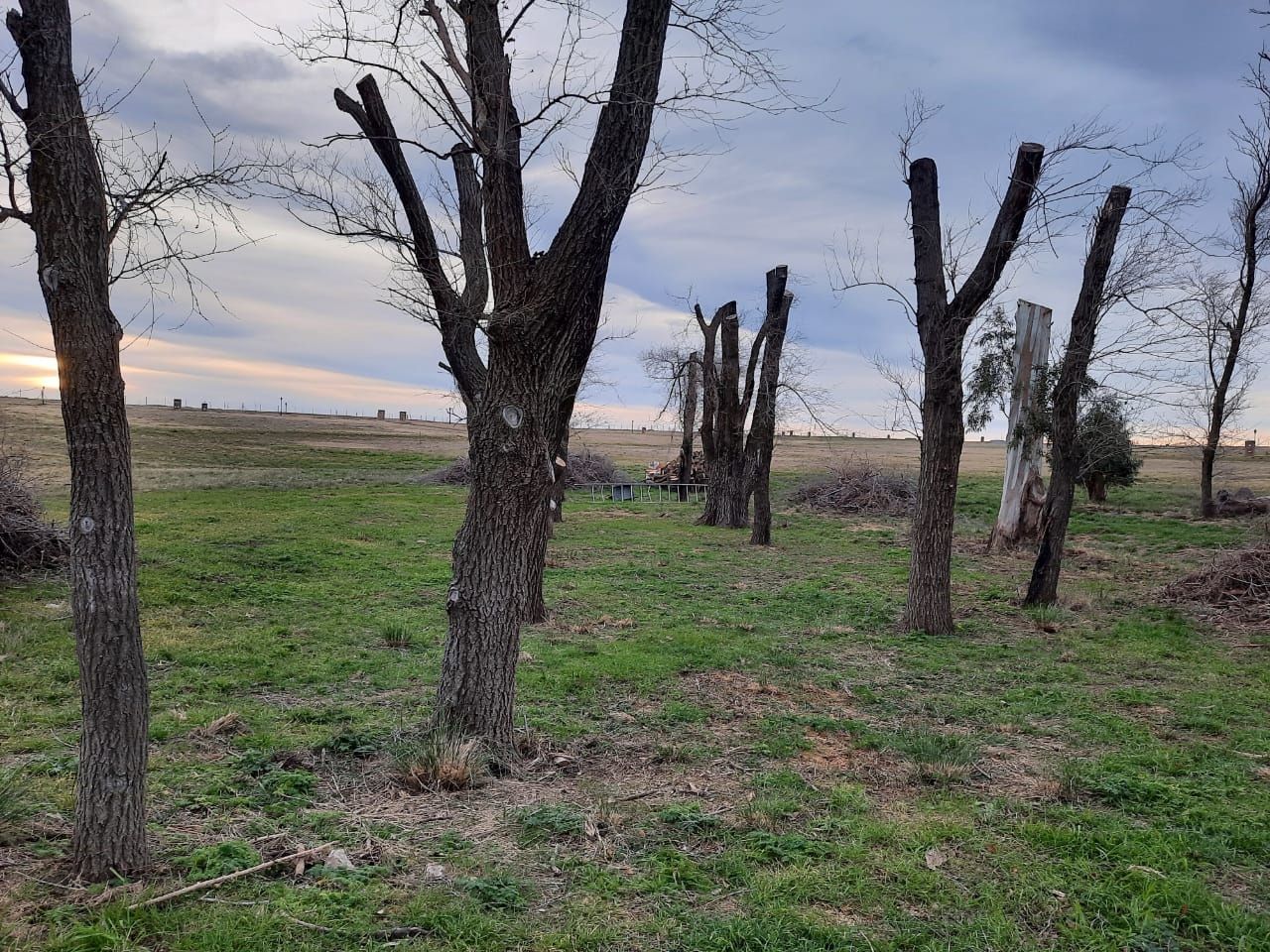 Terreno en Venta en Ruta 72 Km 1,  Sierra de  la Ventana - Bahía Blanca Propiedades | SITIO OFICIAL l