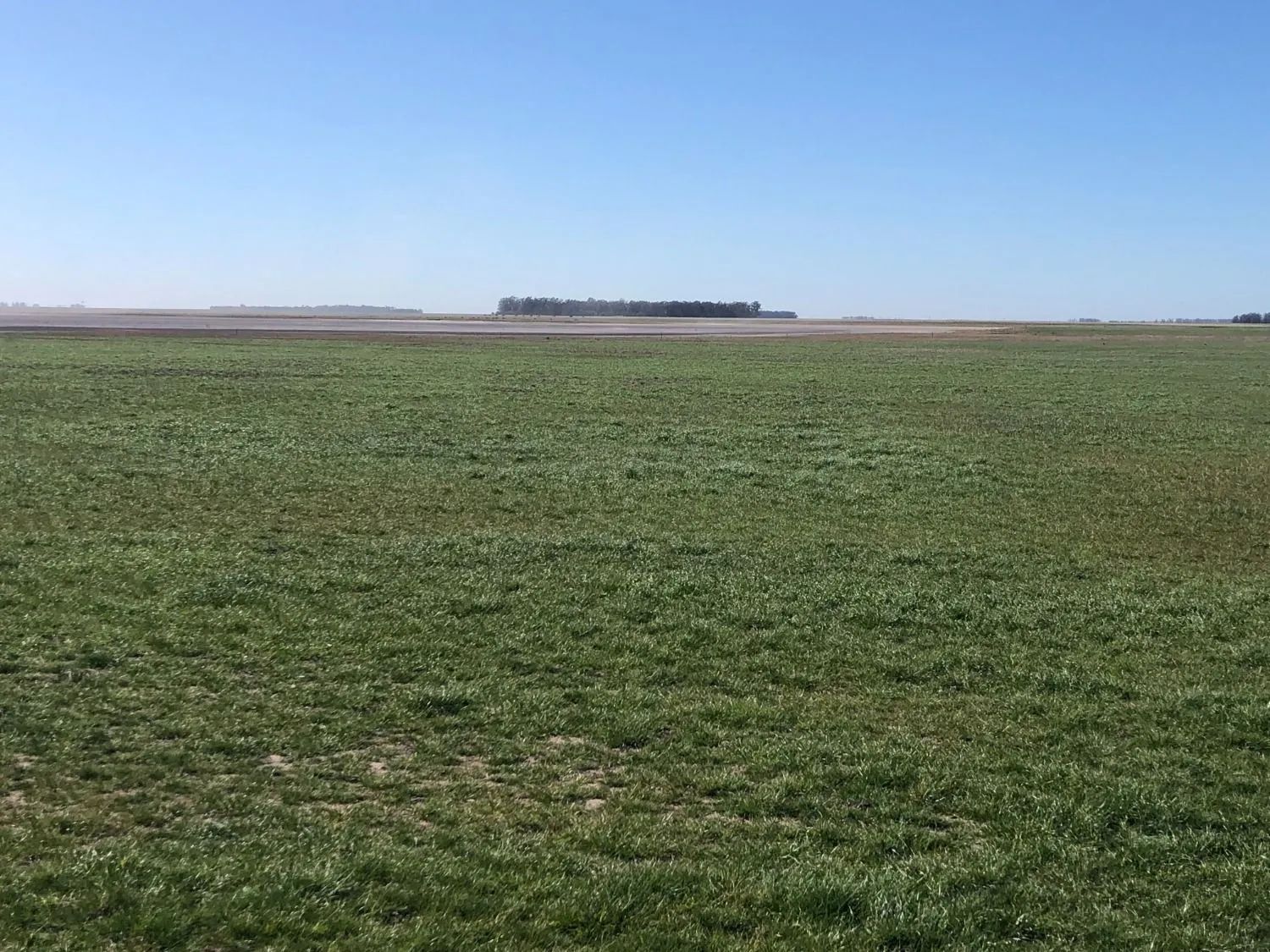 Campo  en Venta en Tres Arroyos ,  Tres Arroyos - Bahía Blanca Propiedades | SITIO OFICIAL l