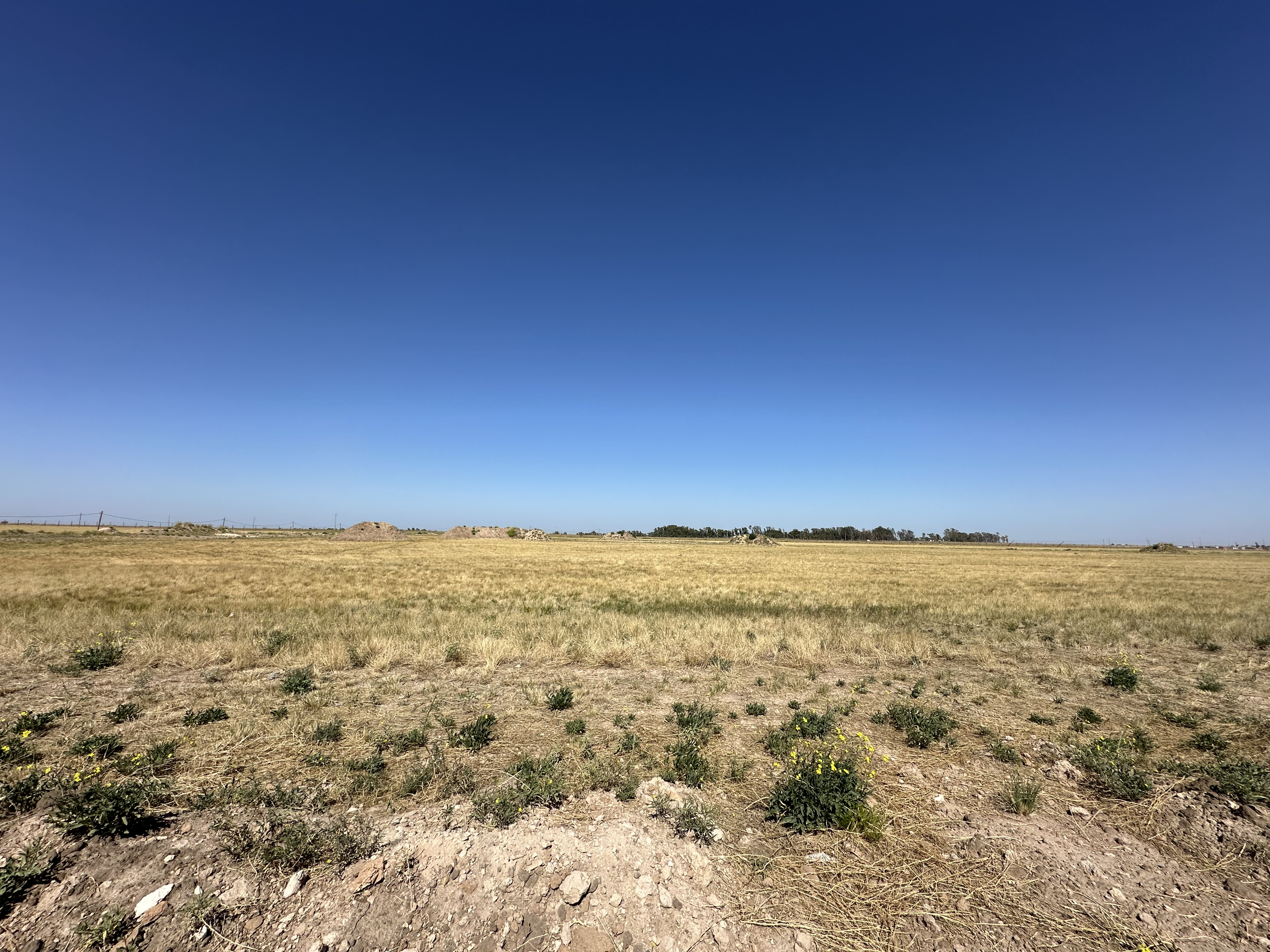 Terreno en Venta en Barrio Privado Estancia El Rocío,  Bahía Blanca - Bahía Blanca Propiedades | SITIO OFICIAL l