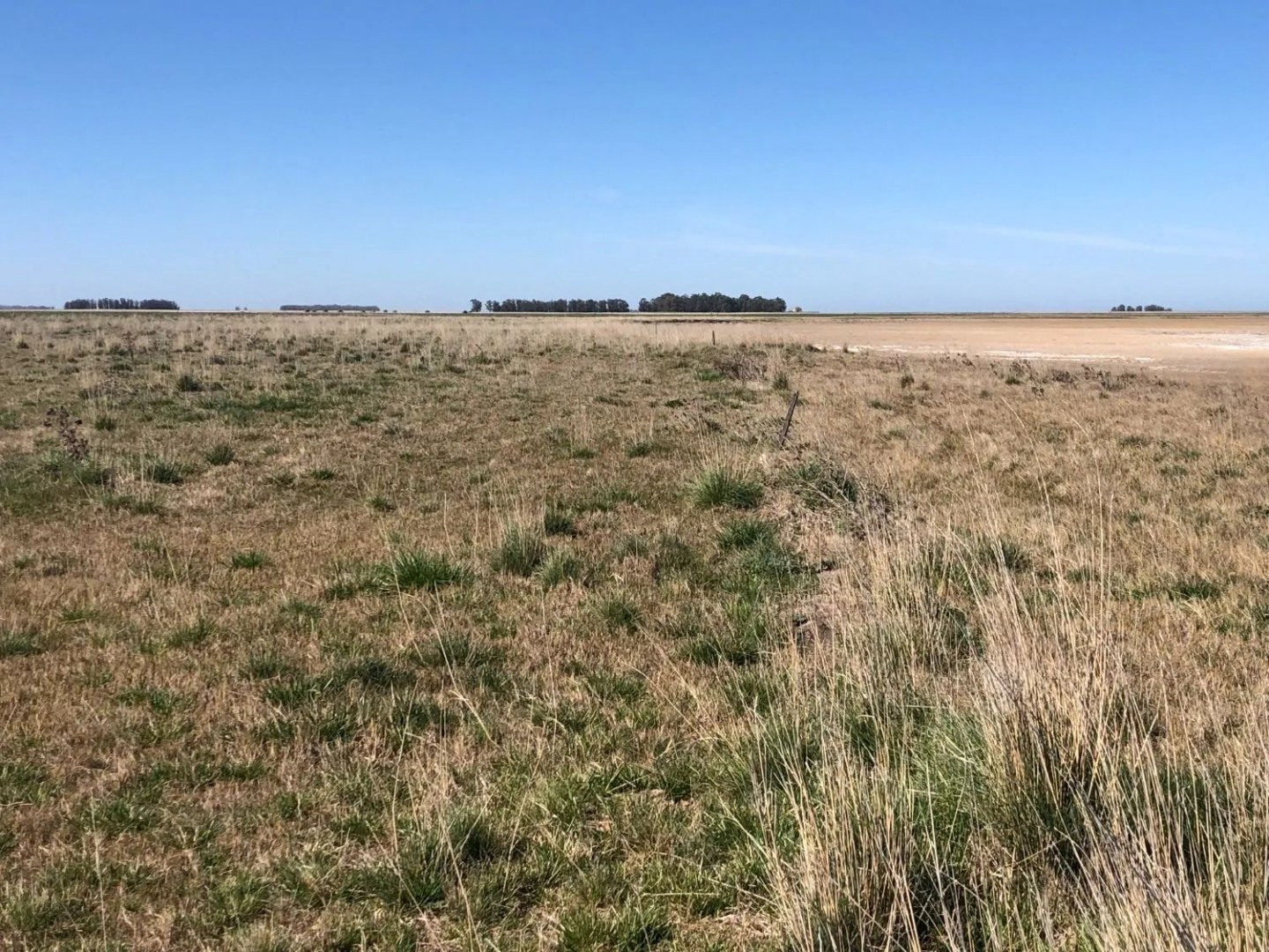 Campo  en Venta en Tres Arroyos ,  Tres Arroyos - Bahía Blanca Propiedades | SITIO OFICIAL l