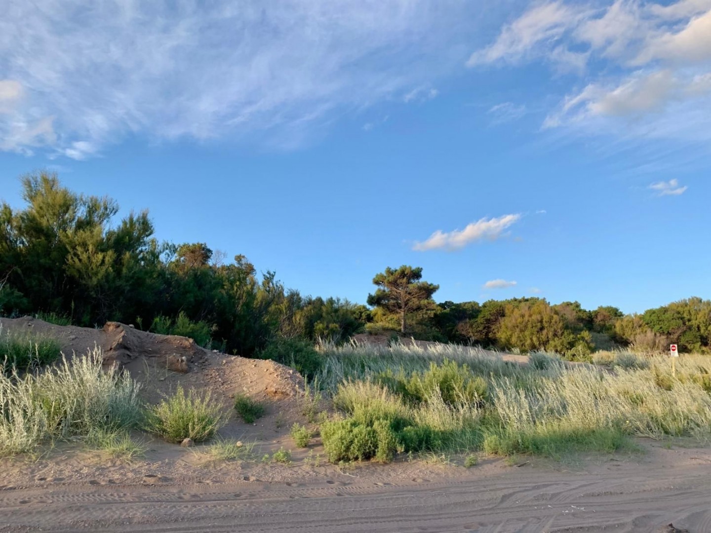 Terreno en Venta en Yatasto Y El Gavilán, Monte del Este, Monte Hermoso - Bahía Blanca Propiedades | SITIO OFICIAL l
