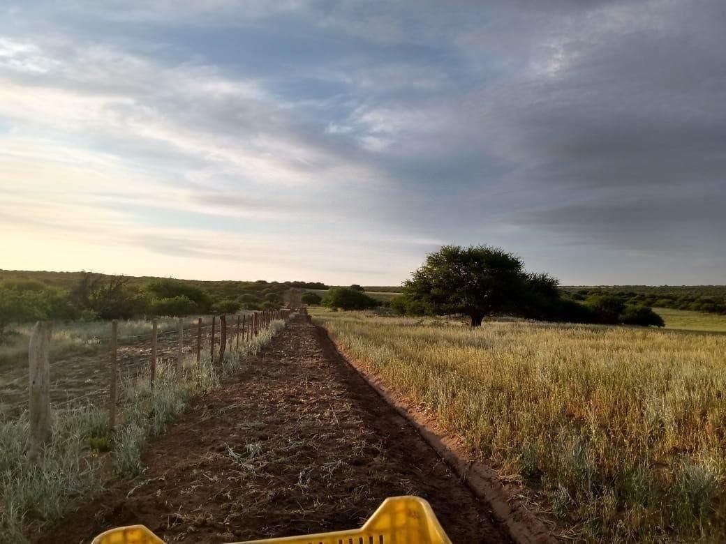 Campo  en Venta en A 18 Kilómetros De Algarrobo,  Villarino - Bahía Blanca Propiedades | SITIO OFICIAL l