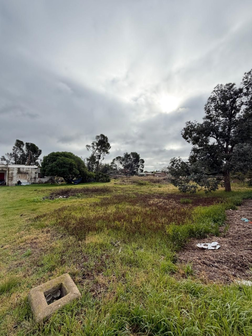 Terreno en Venta en Profesora Herminia Abat Y Matheu, Altos del Pinar, Bahía Blanca - Bahía Blanca Propiedades | SITIO OFICIAL l