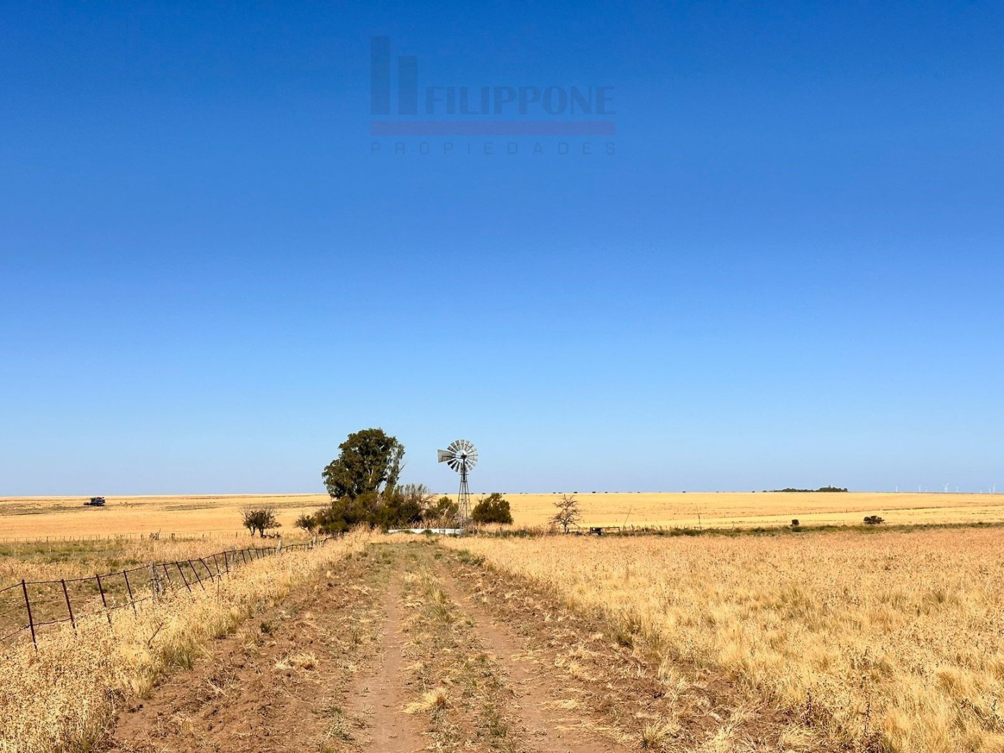 Campo  en Venta en Ruta 35,  Bahía Blanca - Bahía Blanca Propiedades | SITIO OFICIAL l