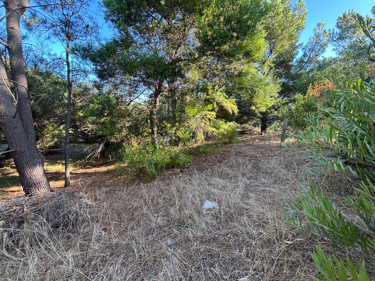 Terreno en Venta en Edurado Plache Y Miramar, El Sauce, Monte Hermoso - Bahía Blanca Propiedades | SITIO OFICIAL l