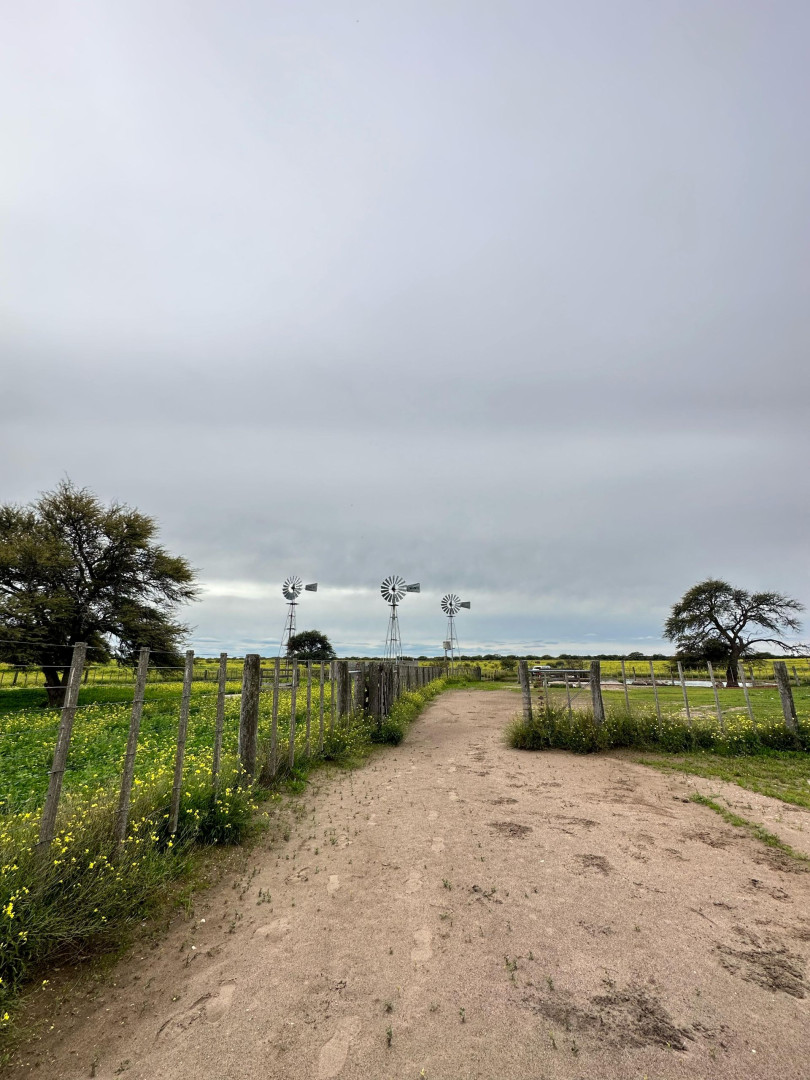 Campo  en Venta   Medanos - Bahía Blanca Propiedades | SITIO OFICIAL l