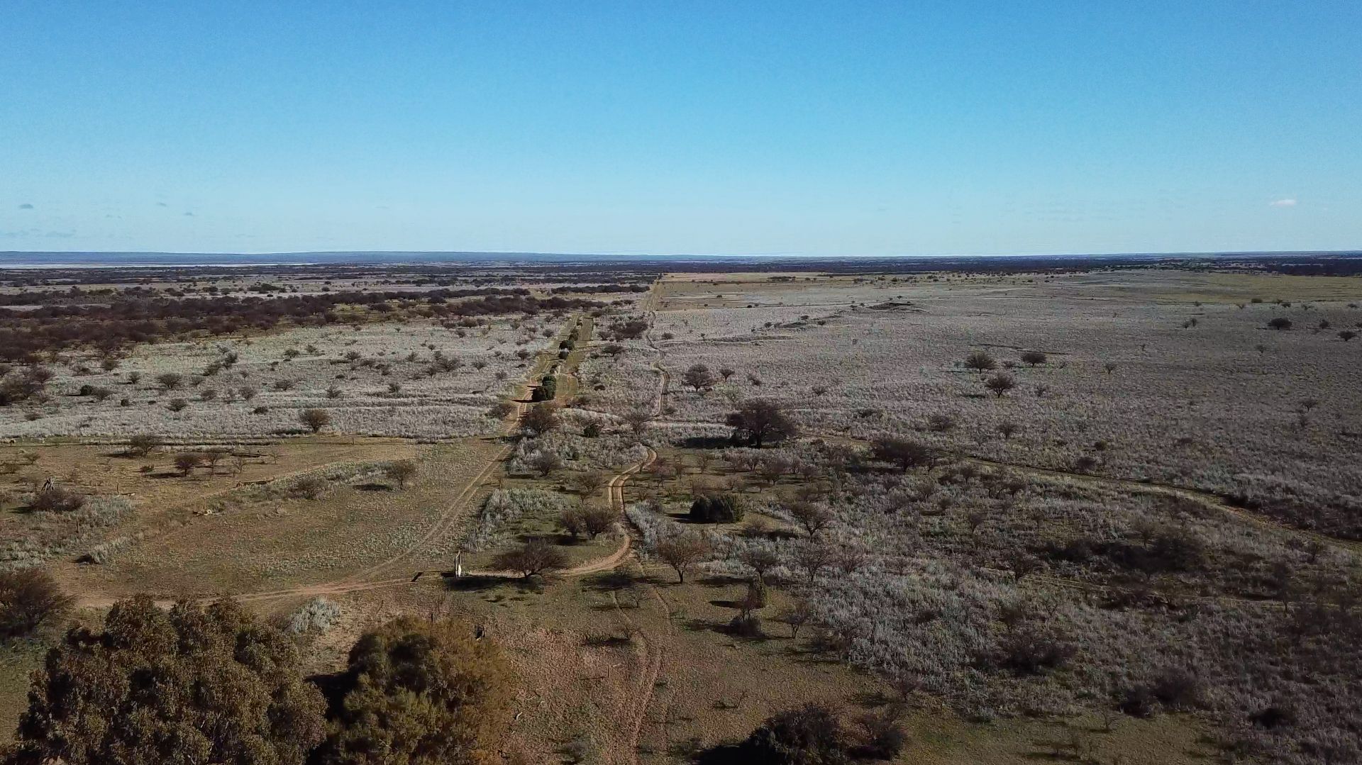 Campo  en Venta   Bernasconi - Bahía Blanca Propiedades | SITIO OFICIAL l