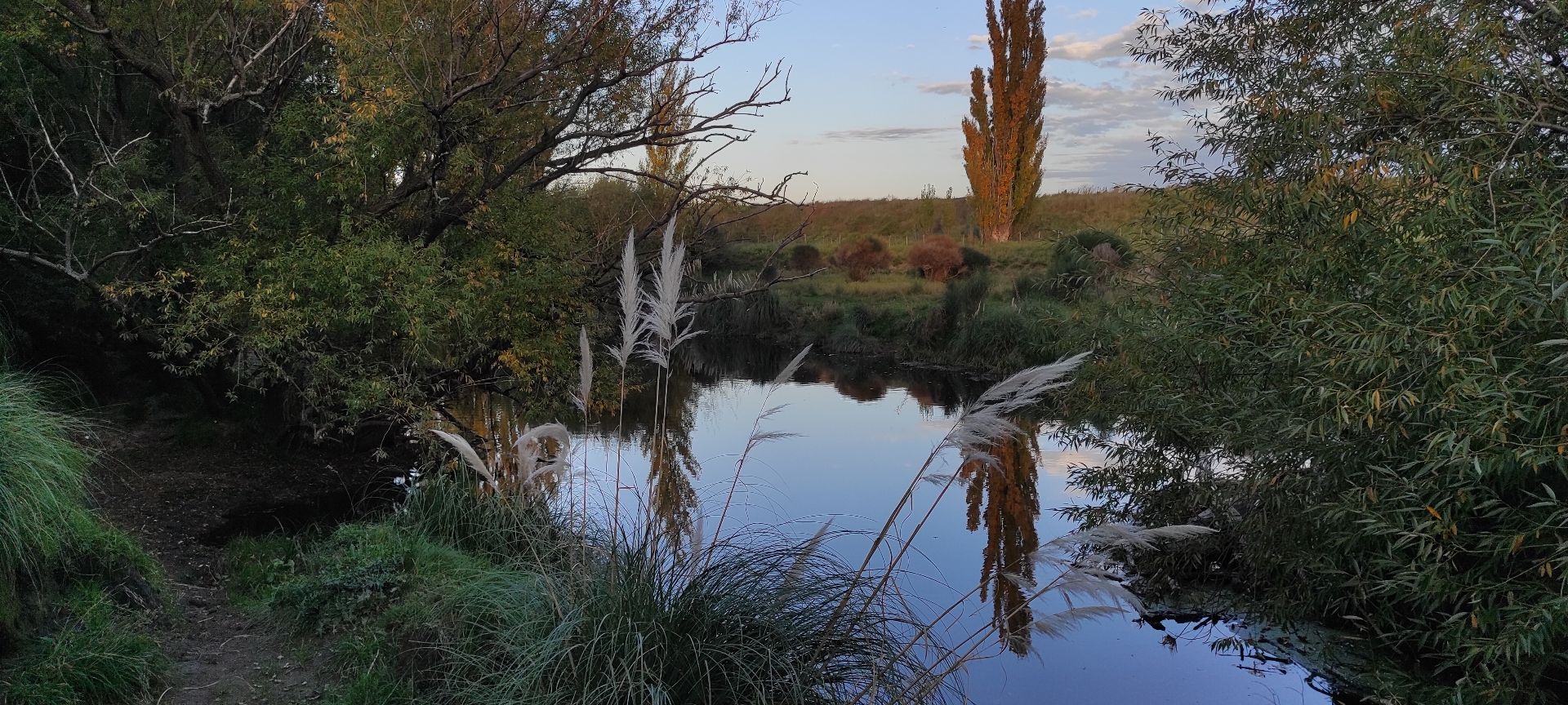 Campo  en Venta   Tornquist - Bahía Blanca Propiedades | SITIO OFICIAL l