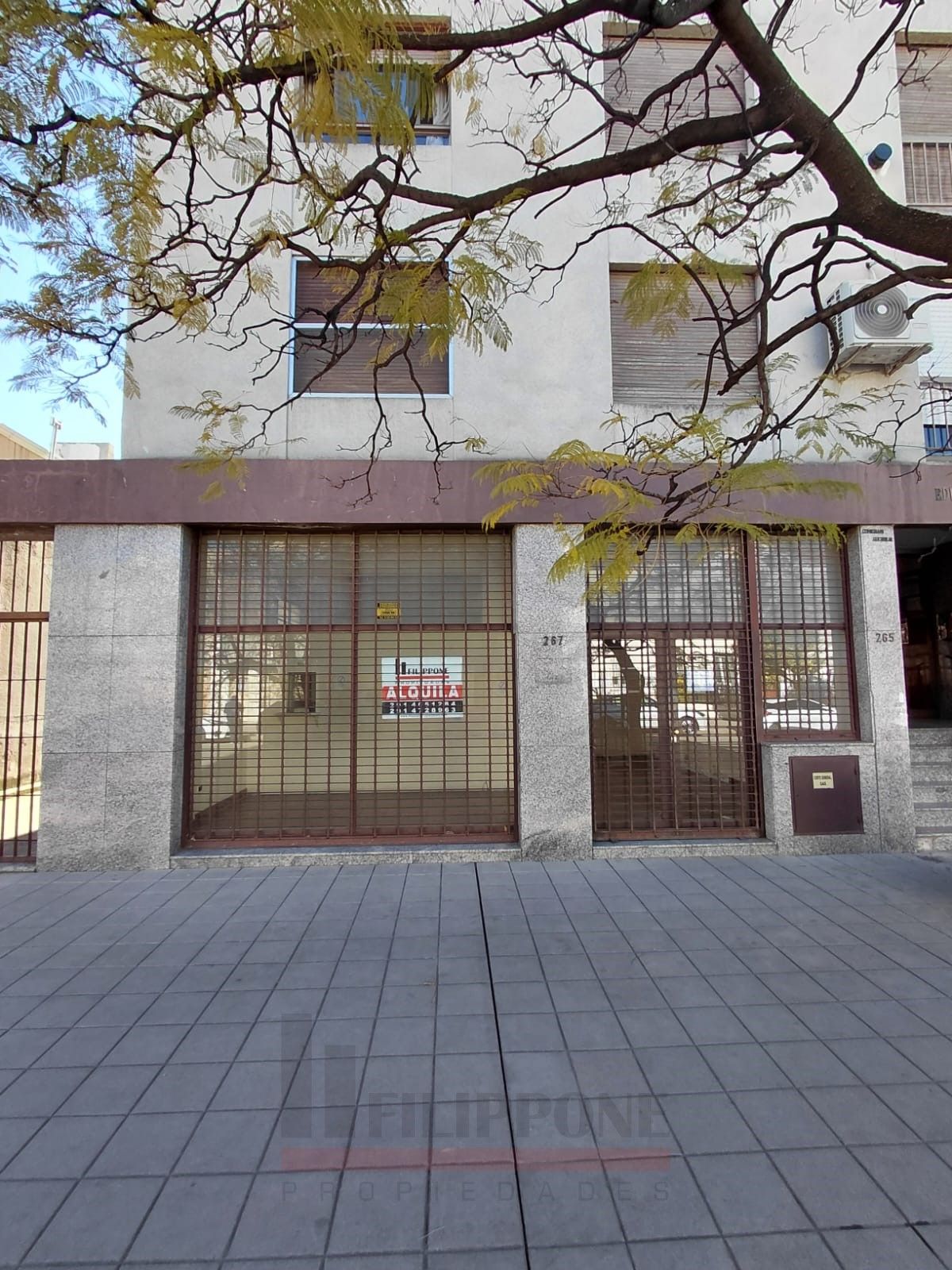 Local en Alquiler en Güemes 267, Centro, Bahía Blanca - Bahía Blanca Propiedades | SITIO OFICIAL l