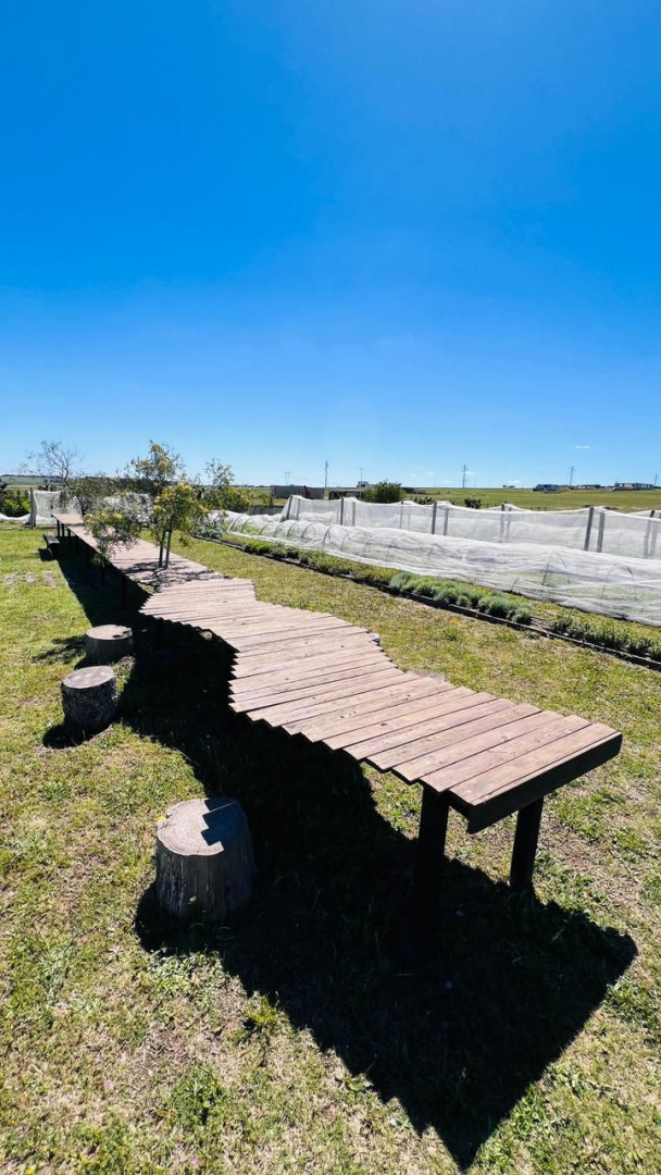 Terreno en Venta en Las Martinetas 175,  Bahía Blanca - Bahía Blanca Propiedades | SITIO OFICIAL l