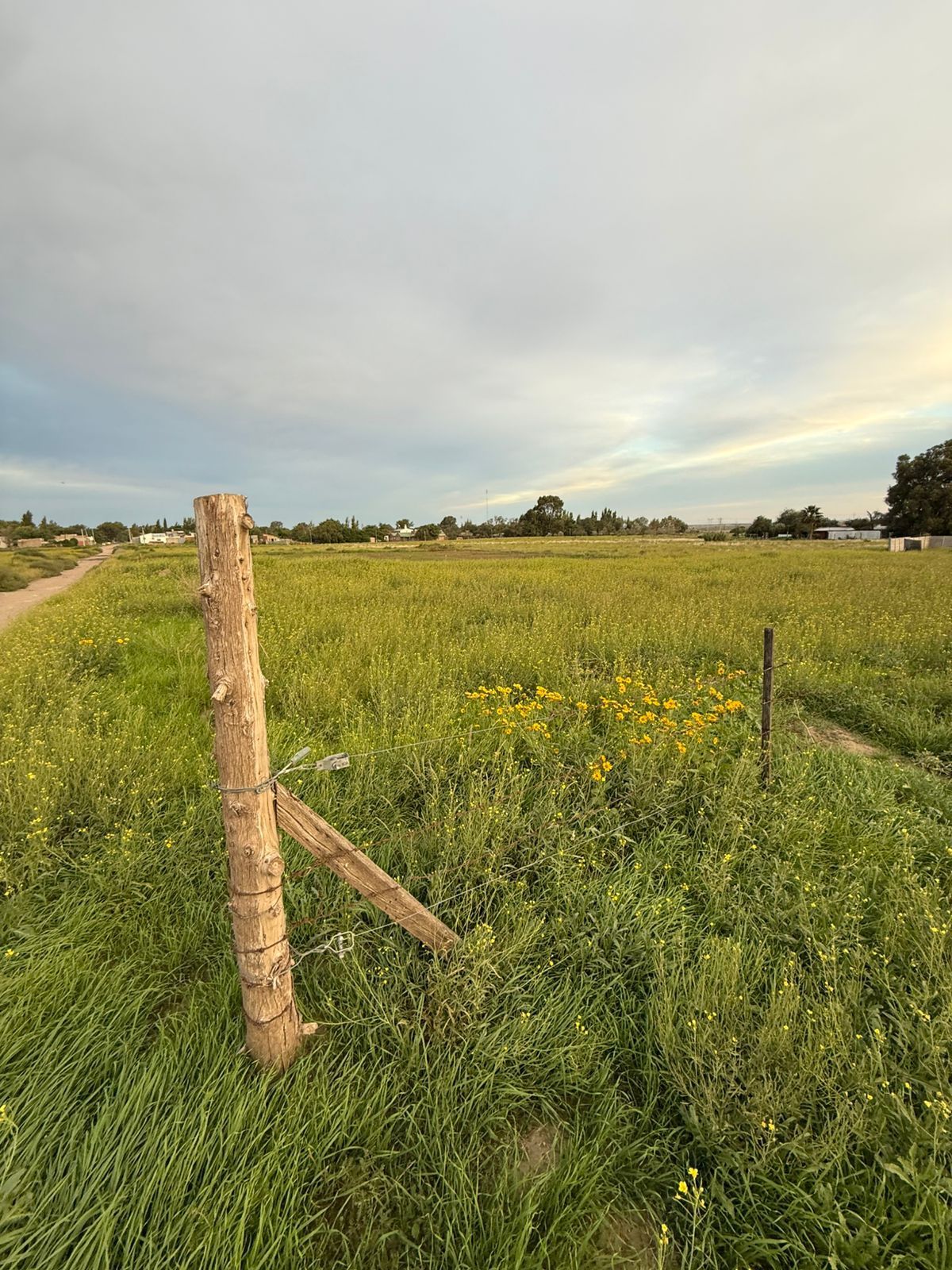 Terreno en Venta en Ambrosetti Entre La Rioja Y Formosa ,  Bahía Blanca - Bahía Blanca Propiedades | SITIO OFICIAL l