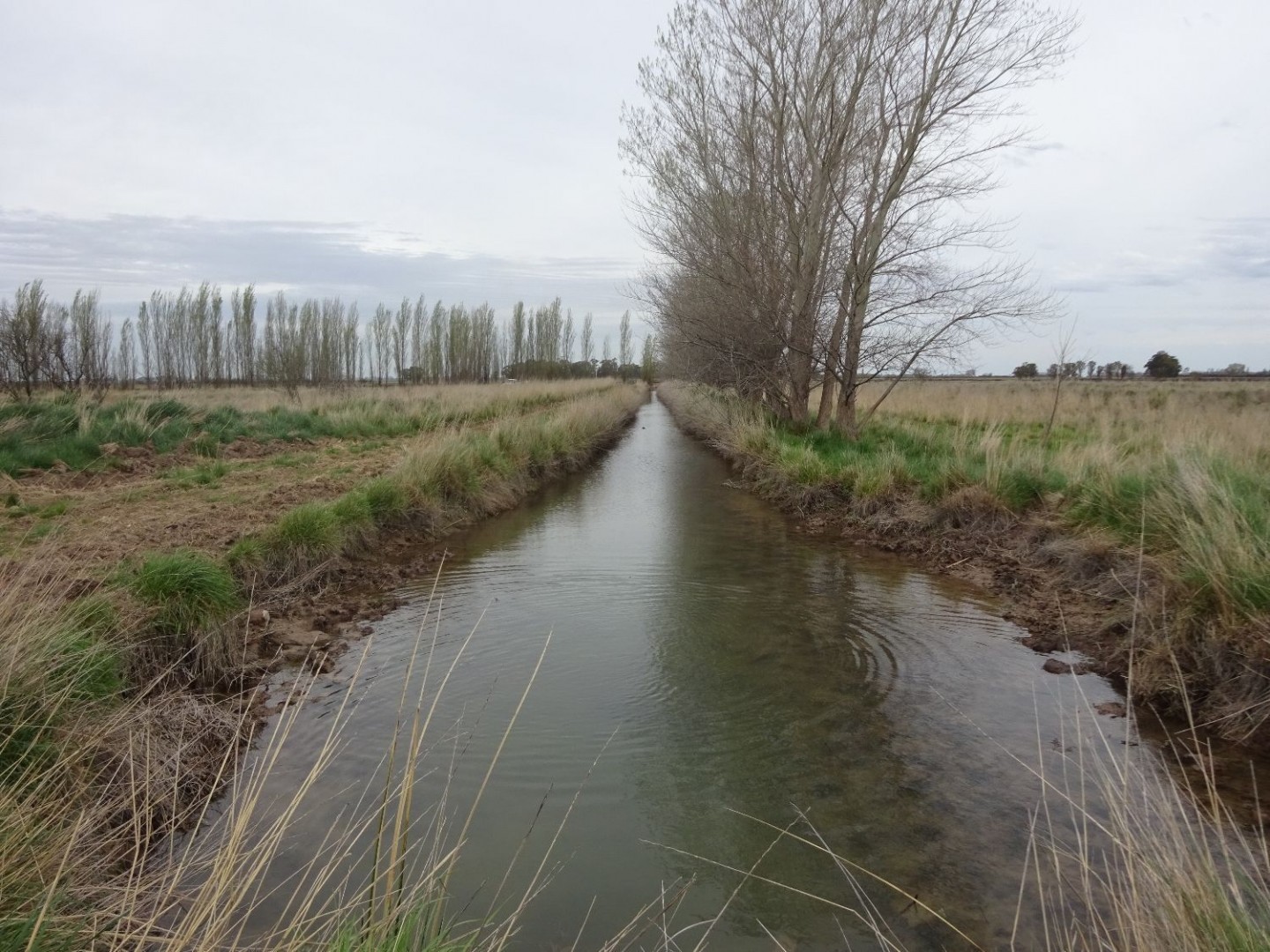 Campo  en Venta en Partido De Villarino ,  Villarino - Bahía Blanca Propiedades | SITIO OFICIAL l
