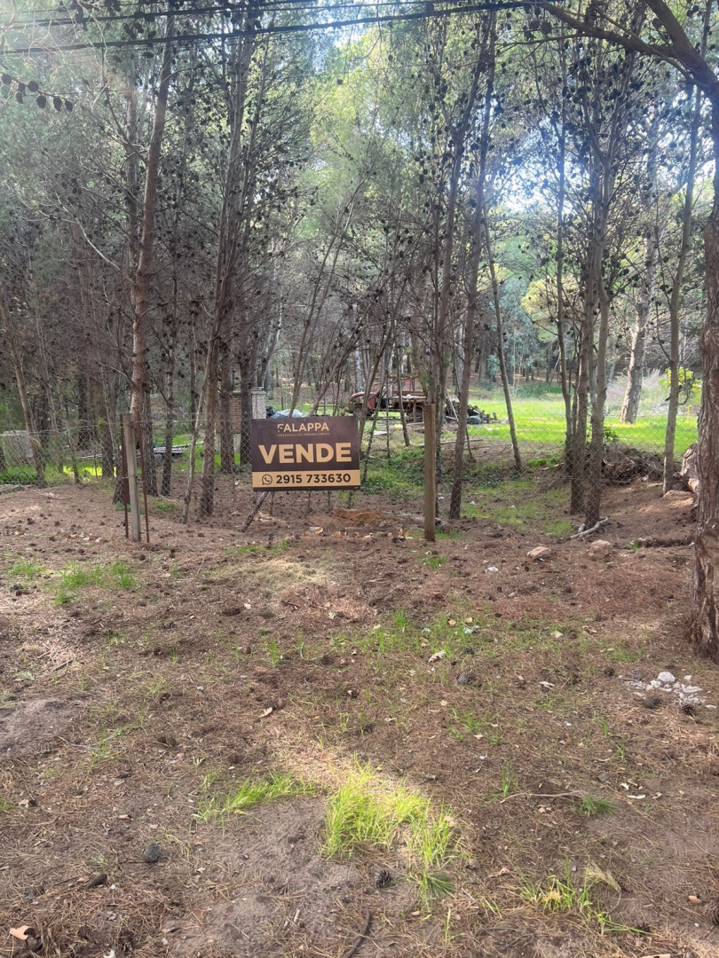 Terreno en Venta en Walich 50,  Pehuen Co - Bahía Blanca Propiedades | SITIO OFICIAL l