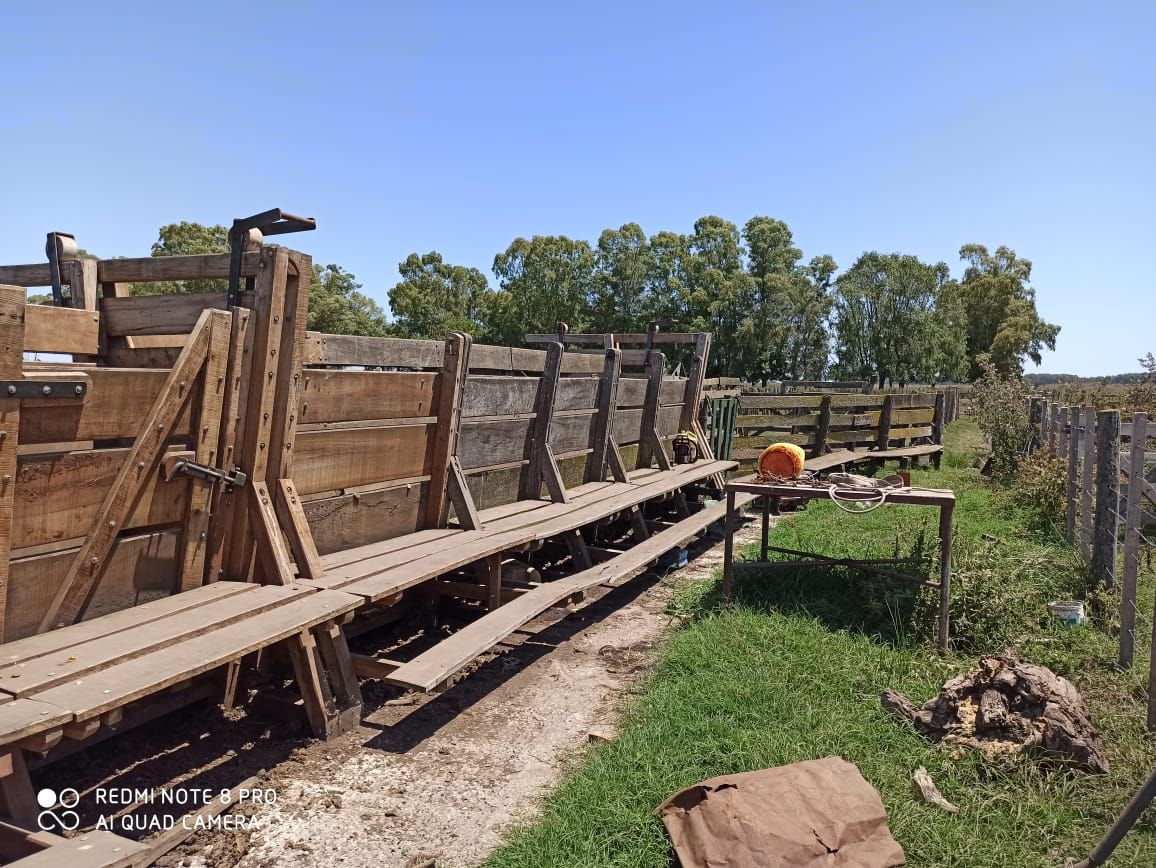 Campo  en Venta - Bahía Blanca Propiedades | SITIO OFICIAL l