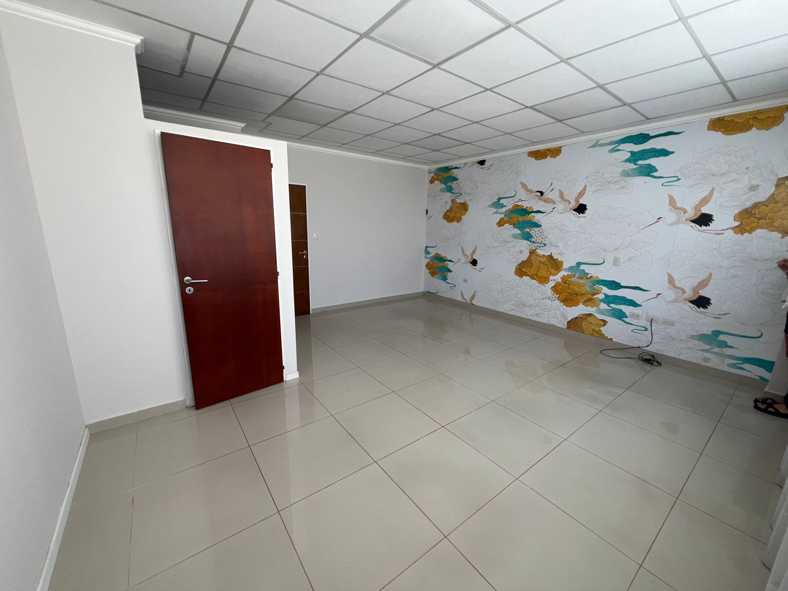 Oficina en Alquiler en Alvarado 38, Centro, Bahía Blanca - Bahía Blanca Propiedades | SITIO OFICIAL l