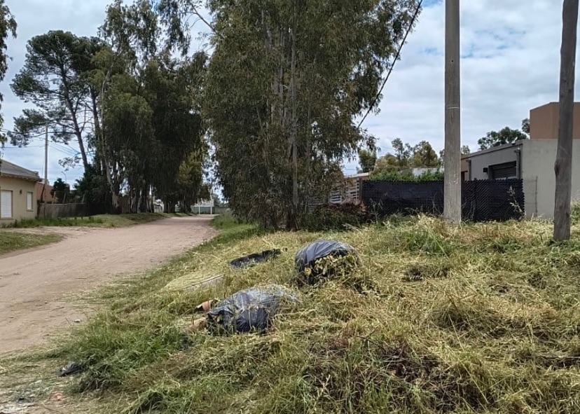 Terreno en Venta en Clegg Y Matheu, San Ignacio, Bahía Blanca - Bahía Blanca Propiedades | SITIO OFICIAL l