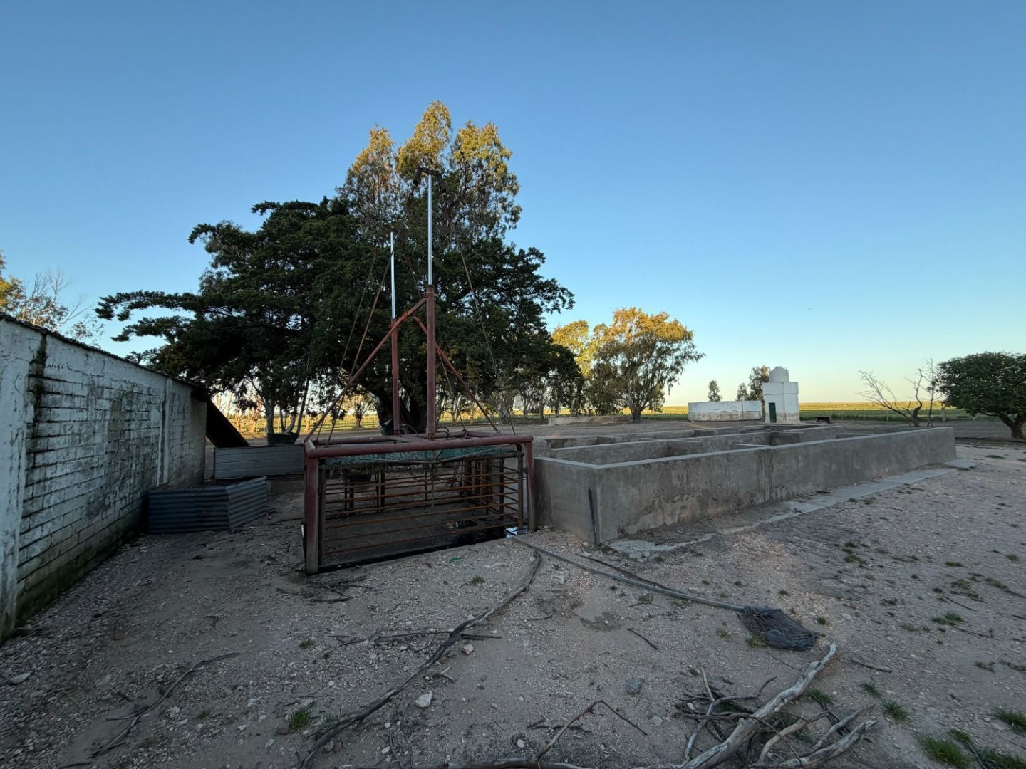 Campo  en Venta en Coronel Dorrego,  Coronel Dorrego - Bahía Blanca Propiedades | SITIO OFICIAL l