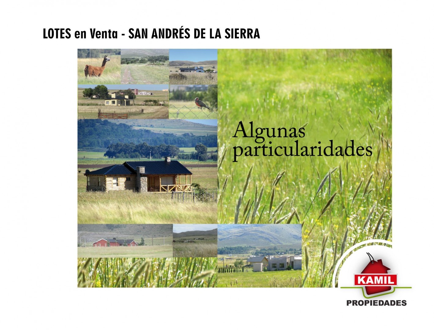 Terreno en Venta en RP 76 Km 228,  San Andres de las Sierras - Bahía Blanca Propiedades | SITIO OFICIAL l