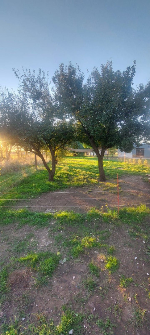 Casa en Alquiler en Azara 6350,  Bahía Blanca - Bahía Blanca Propiedades | SITIO OFICIAL l