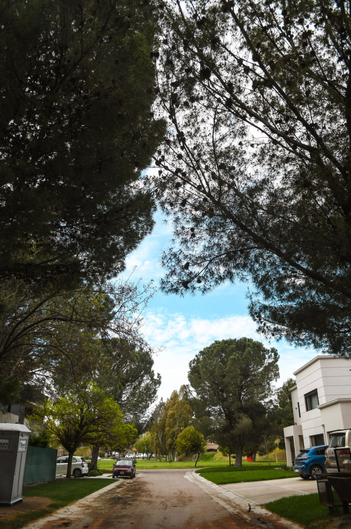 Terreno en Venta en Calle 6, Bosque Alto, Bahía Blanca - Bahía Blanca Propiedades | SITIO OFICIAL l