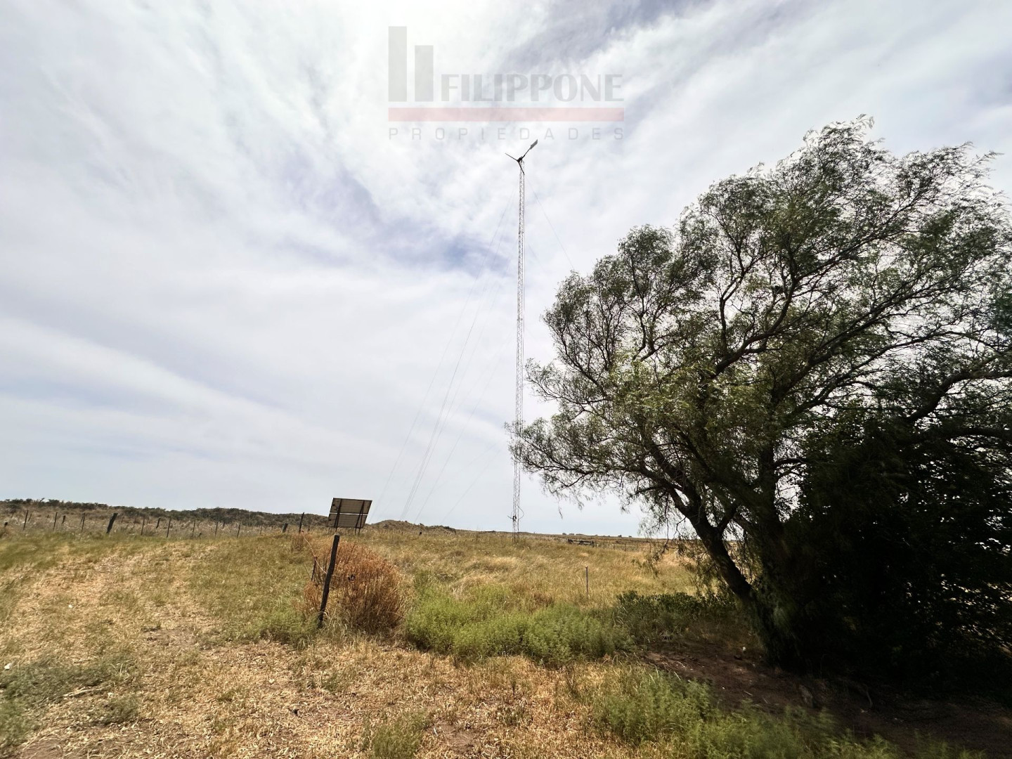 Campo  en Venta   Coronel Dorrego - Bahía Blanca Propiedades | SITIO OFICIAL l