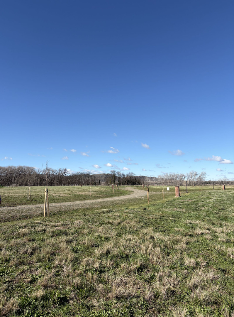 Terreno en Venta en KM 72, Las Verbenas , Sierra de  la Ventana - Bahía Blanca Propiedades | SITIO OFICIAL l