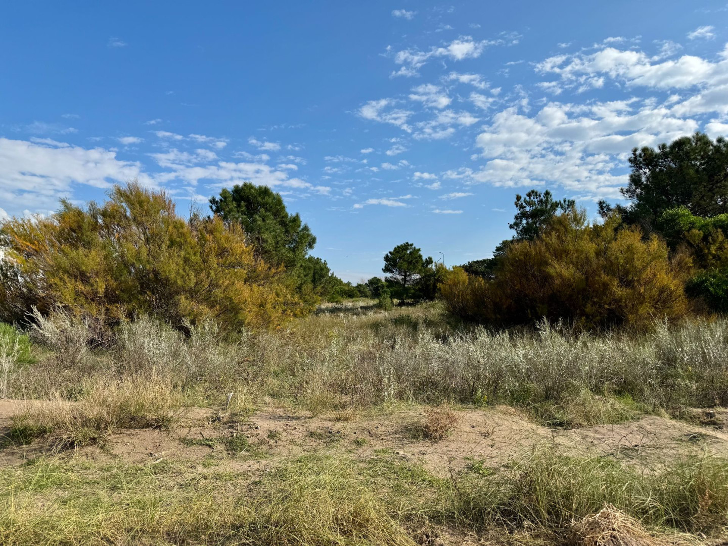 Terreno en Venta en Flamencos Y Martinetas, Monte del Este, Monte Hermoso - Bahía Blanca Propiedades | SITIO OFICIAL l