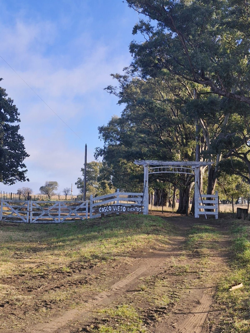 Campo  en Venta en Las Oscuras,  Coronel Dorrego - Bahía Blanca Propiedades | SITIO OFICIAL l