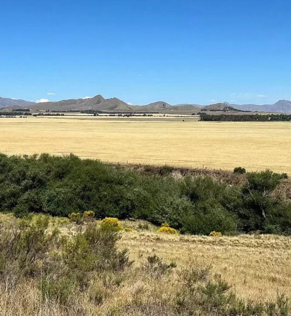 Campo  en Venta en Ruta Nacional 33 Kilometro 78,  Saavedra - Bahía Blanca Propiedades | SITIO OFICIAL l