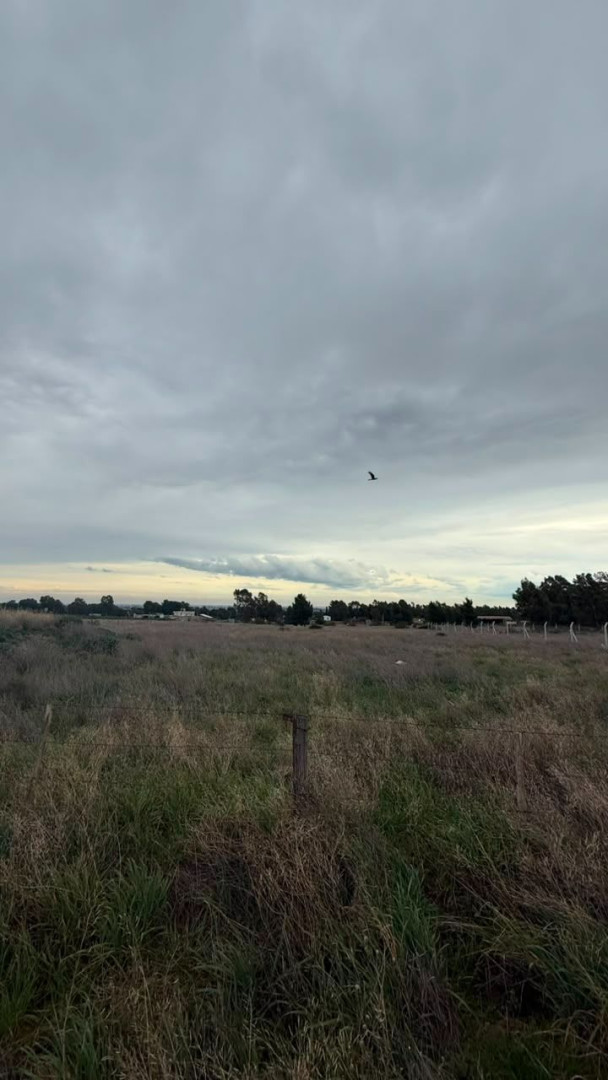 Terreno en Venta en Ernesto Che Guevara De La Serna 4108, Villa Belgrano, Bahía Blanca - Bahía Blanca Propiedades | SITIO OFICIAL l