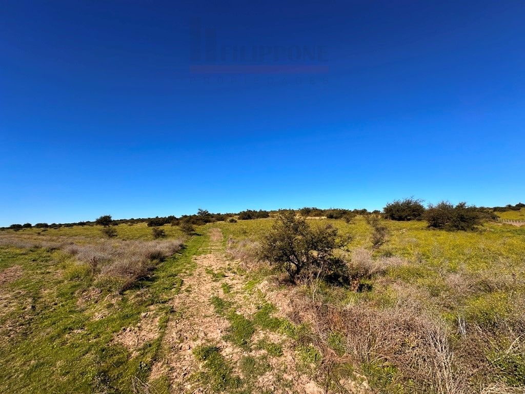Campo  en Venta en Ruta 35 - Bahía Blanca Propiedades | SITIO OFICIAL l