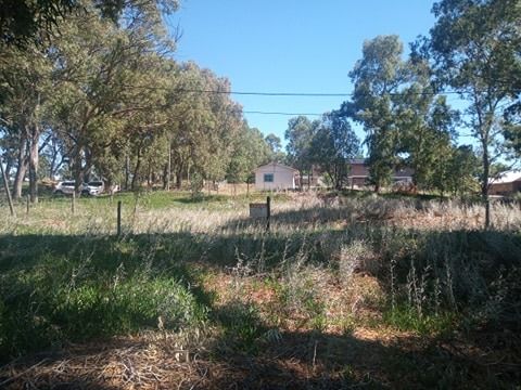 Terreno en Venta en Ameghino Y 9 De Julio,  Pehuen Co - Bahía Blanca Propiedades | SITIO OFICIAL l