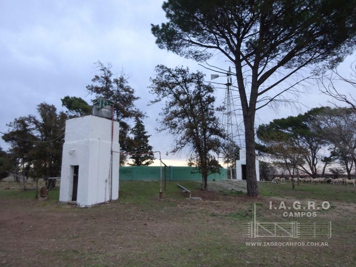Campo  en Venta en Villarino,  Villarino - Bahía Blanca Propiedades | SITIO OFICIAL l