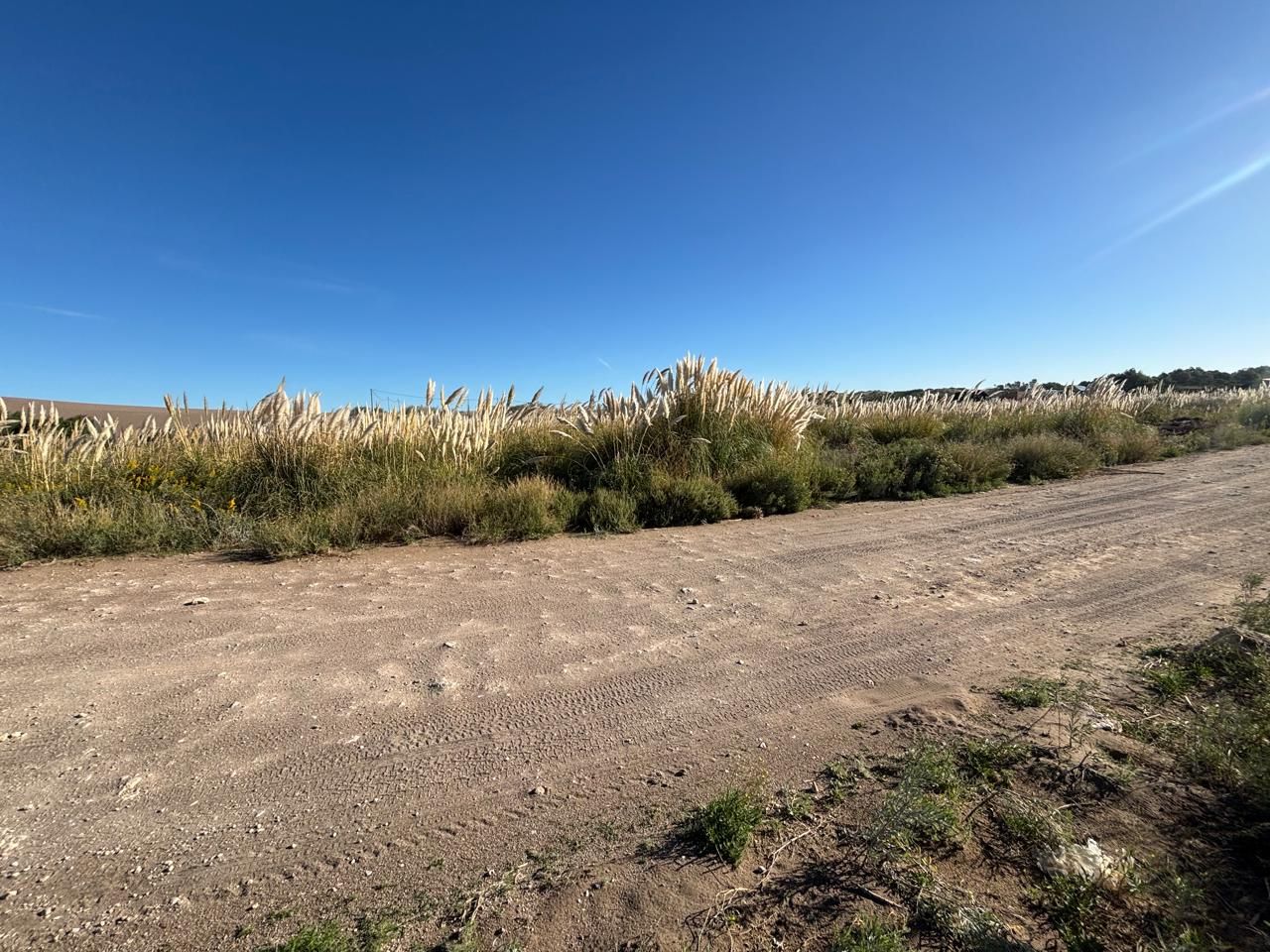Terreno en Venta  El Sauce, Monte Hermoso - Bahía Blanca Propiedades | SITIO OFICIAL l