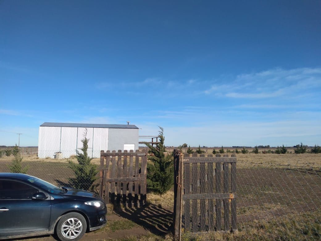 Terreno en Venta en Ruta 3 Km 594,  Coronel Dorrego - Bahía Blanca Propiedades | SITIO OFICIAL l