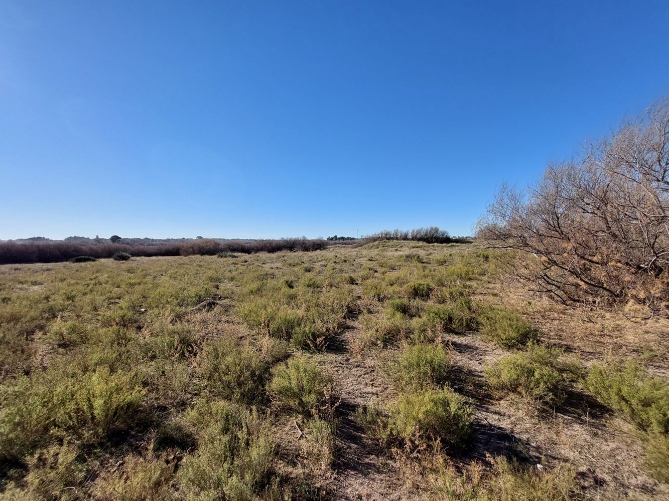 Terreno en Venta en Rodriguez Y Brigadier Estanislao Lopez ,  Bahía Blanca - Bahía Blanca Propiedades | SITIO OFICIAL l