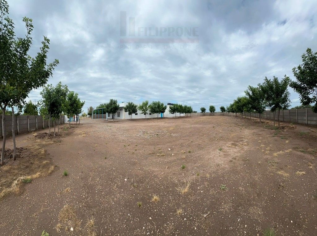 Terreno en Venta en Acceso A La Adela,  La Pampa - Bahía Blanca Propiedades | SITIO OFICIAL l