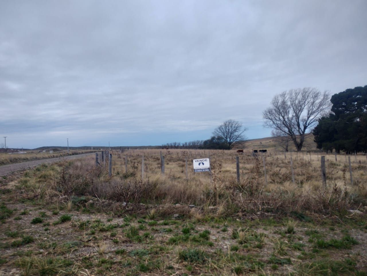 Terreno en Venta en Jardines De Pillahuinco.,  Sierra de  la Ventana - Bahía Blanca Propiedades | SITIO OFICIAL l