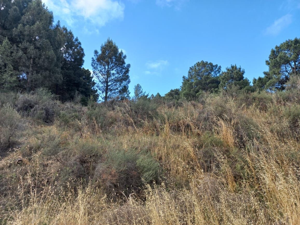 Terreno en Venta en Las Urracas ,  Monte Hermoso - Bahía Blanca Propiedades | SITIO OFICIAL l